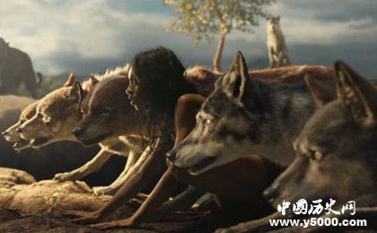 被野獸養(yǎng)大的孩子是怎樣的為什么野獸會(huì)收養(yǎng)孩子