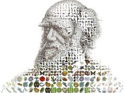 《物種起源》作者是誰物種起源內(nèi)容觀后感歷史影響介紹