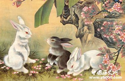 生肖兔簡介生肖兔是怎么來的生肖兔性格特點介紹