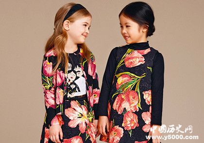 D&G再發(fā)聲D&G公司簡介D&G公司發(fā)展歷史