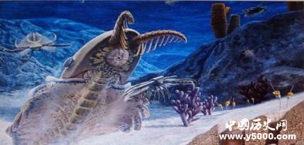 宜昌現(xiàn)清江生物群寒武紀(jì)生命大爆發(fā)的原因是什么？