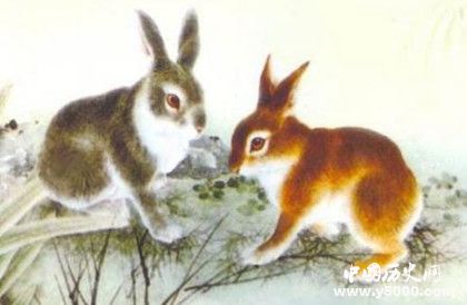 屬兔的人在2019年運(yùn)勢(shì)怎么樣屬兔的人幸運(yùn)物是什么