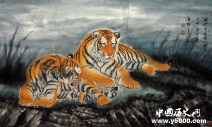 屬虎的人2019年運勢怎么樣屬虎的幸運物是什么