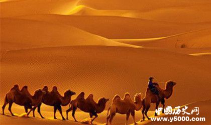 隆美爾財(cái)寶之謎：隆美爾財(cái)寶在哪里為什么消失了