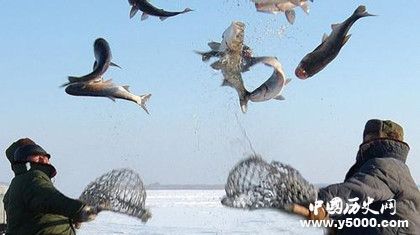 查干湖冬捕頭魚價(jià)格多少查干湖冬捕簡(jiǎn)介歷史發(fā)展過(guò)程介紹