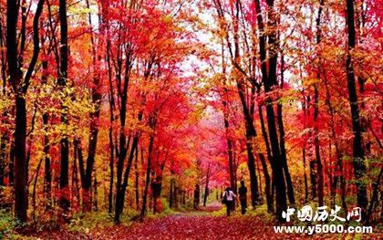 吉林省簡(jiǎn)介吉林省歷史發(fā)展過(guò)程介紹吉林省氣候環(huán)境介紹