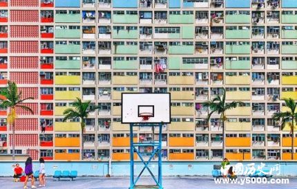 2019蘋(píng)果攝影大賽公布蘋(píng)果攝影大賽發(fā)展歷史報(bào)名標(biāo)準(zhǔn)簡(jiǎn)介