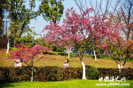 四川一高校放春假高校春假是什么意思？