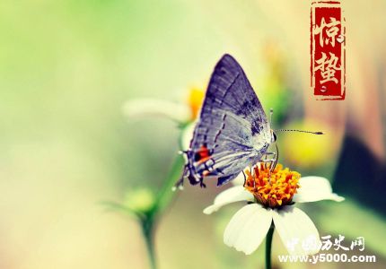 驚蟄是什么意思驚蟄節(jié)氣適合吃什么？