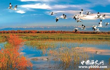 黑河市簡介黑河市地理位置氣候環(huán)境介紹旅游景點(diǎn)旅游攻略 黑河市簡介黑河市地理位置氣候環(huán)境介紹旅游景點(diǎn)旅游攻略