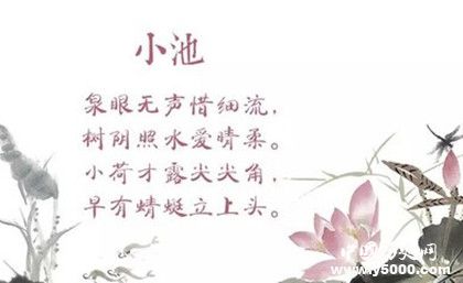 楊萬里小池原文鑒賞作品翻譯小池創(chuàng)作背景是什么