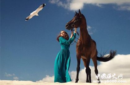 生肖馬是怎么來的屬馬的人有哪些性格特點