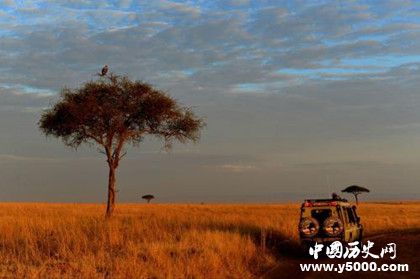人類發(fā)源地之謎：東非是人類的發(fā)源地嗎？