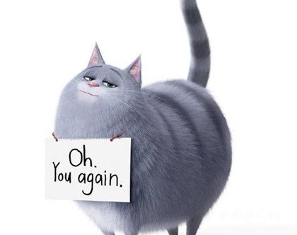 愛(ài)寵大機(jī)密2劇情故事介紹什么時(shí)候上映愛(ài)寵大機(jī)密觀后感