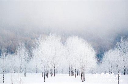 東北簡(jiǎn)介東北名稱來(lái)源東北的歷史來(lái)源