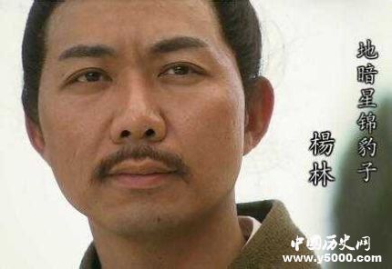 楊林生平簡(jiǎn)介楊林的故事楊林的結(jié)局如何？