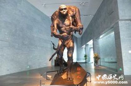 北京人化石失蹤謎案：北京人化石為什么失蹤了