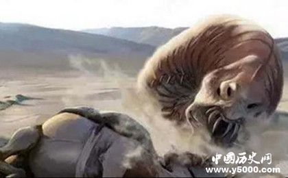 死亡之蟲(chóng)的秘密：死亡之蟲(chóng)真的存在嗎