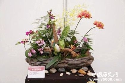 2019北京迎春年宵花展開幕時間地點花卉品種售價多少