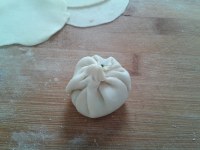 韭菜豬肉餅的做法步驟8