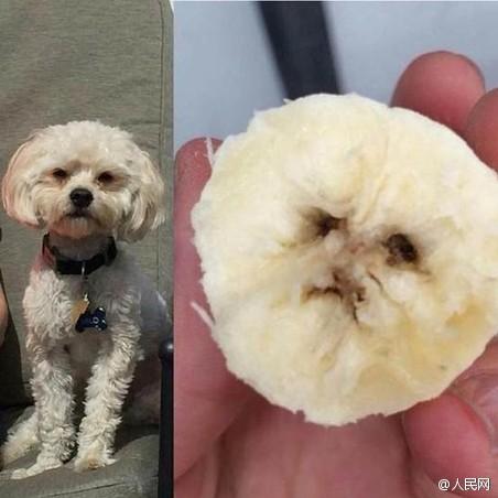 然后其他網(wǎng)友也開始跟著曬圖。