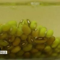 【微體兔菜譜】清熱解暑的夏日圣品丨綠豆百合飲的做法圖解3