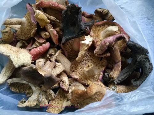 農(nóng)家野生菌燉雞的做法