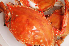 海蟹,海蟹怎么吃