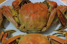 河蟹怎么吃,河蟹蒸多久