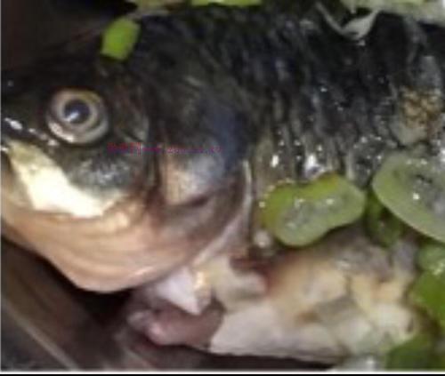 魚(yú)燉豆腐的做法