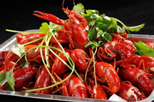 瑪?shù)铝?/ data-qAi5=