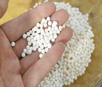 西米怎么保存 西米的功效 西米怎么洗 西米怎么吃