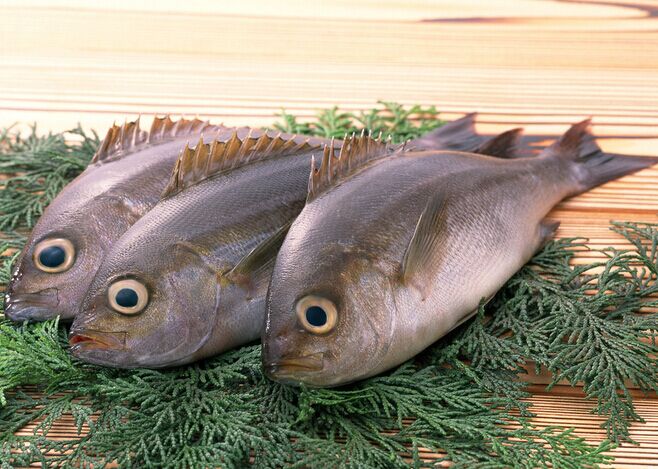 海魚怎么做不腥