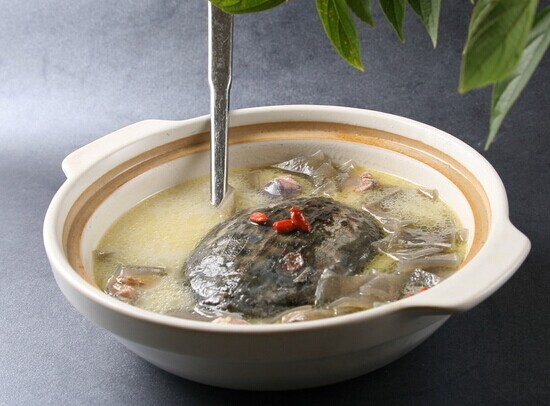 甲魚(yú)的做法