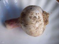 家傳配方腌糖蒜的做法步驟1