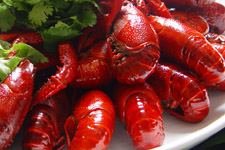 瑪?shù)铝?/ data-Eh7G=