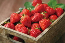 草莓果醬的做法，草莓果醬做法