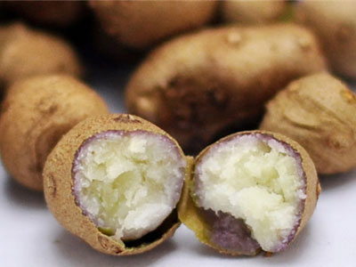 發(fā)芽的山藥豆能吃嗎，山藥豆怎么長期保存