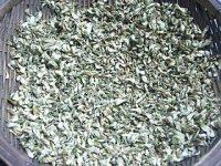 自曬干槐花的做法步驟5