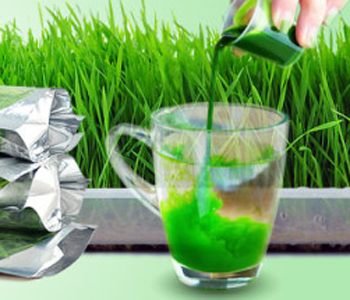 有機(jī)小麥草粉 有機(jī)小麥草粉的作用 有機(jī)小麥草粉怎么吃 小麥草粉哪個(gè)牌子好