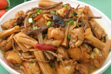 茶樹(shù)菇湯的做法大全