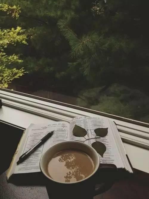 【薦讀】你沒教養(yǎng)的樣子真丑