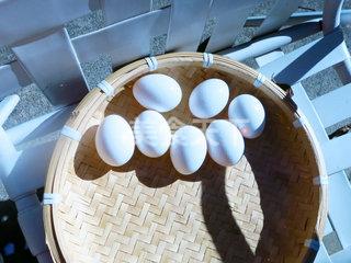 家庭腌咸蛋的做法步驟：2