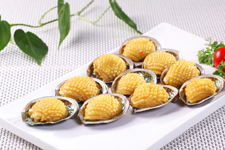 冷凍鮑魚(yú)的家常做法