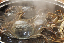 怎么蒸螃蟹,怎樣蒸螃蟹