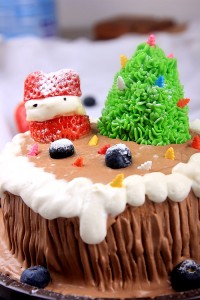 圣誕節(jié)蛋糕的做法步驟13