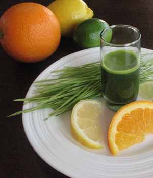 小麥草粉怎么吃 小麥草粉的作用 小麥草粉哪個牌子好
