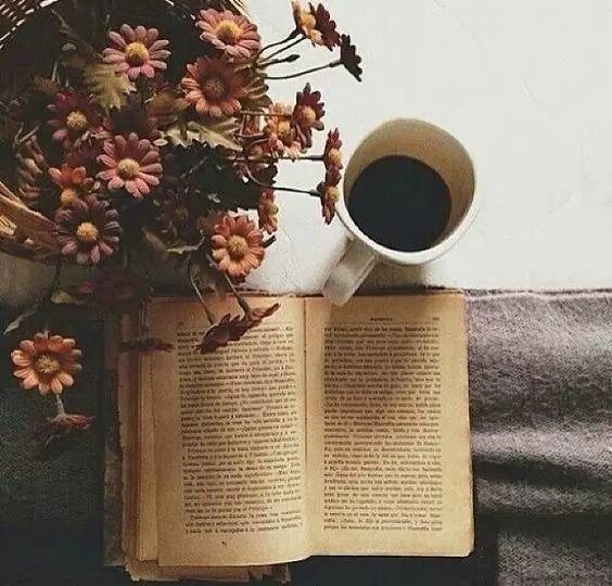 【薦讀】你沒教養(yǎng)的樣子真丑