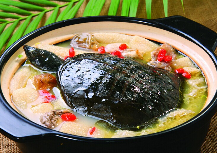 甲魚(yú)的做法