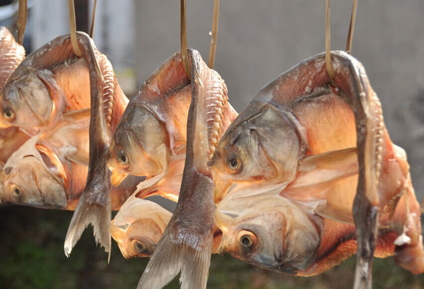 臘魚的腌制方法